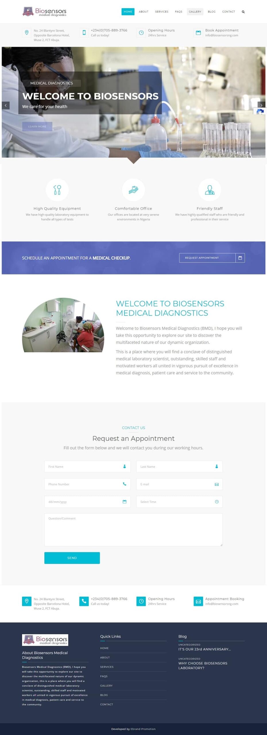Bisensors website design project